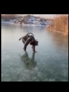 ��Ц��Ƶ������Ц�����˼�����