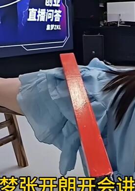 集梦张开朗开会讲流水和打手板屁股