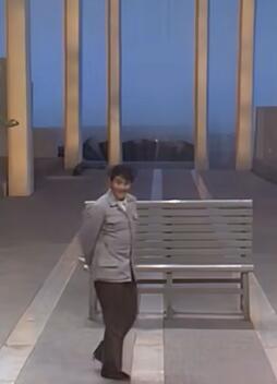 �Ա�ɽ ������ СƷ�����ס�1990��