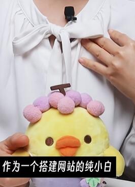 小白建网站 千万别选wordpress