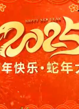 2025新年元旦节目开场春节年会开场视频,太赞了