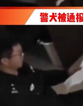 警犬被通报:上班死气沉沉到处尿尿