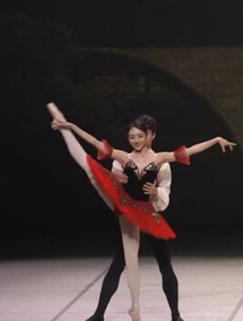 【沈贤熙】《堂吉诃德》选段