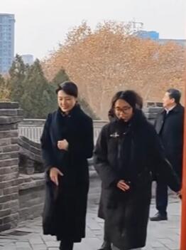 周涛:这位鸡窝头女士一定有她的过人之处