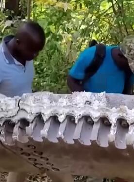 半吨重太空垃圾坠落肯尼亚村庄