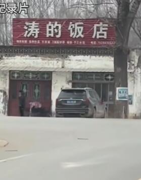 涛的饭店火了 老板发声:谢谢大家关注