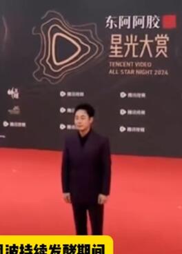 张颂文风波后现身红毯