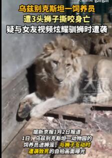 一饲养员遭3头狮子撕咬身亡
