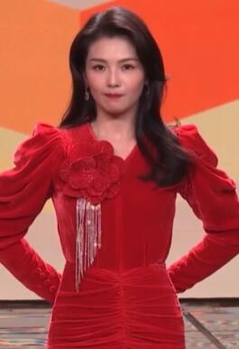 刘涛春晚美貌出圈名场面