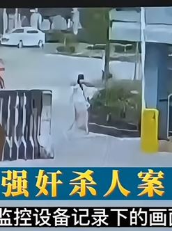 湖北武汉【少女求职惨遭奸杀】连环强奸杀人案