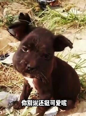 二次元搞笑配音 搞笑配音