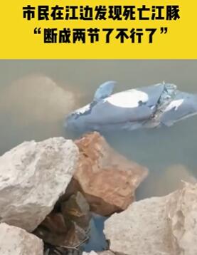 �人һ���񽭱߷����������� �����Ѷϳ�����