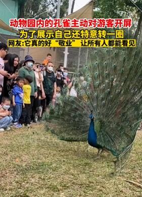 ����԰�ڿ�ȸ�����������ο�չʾ�Լ�