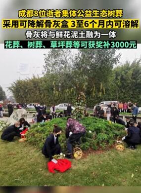 成都8位逝者集体公益生态树葬 骨灰将与鲜花泥土融为一体