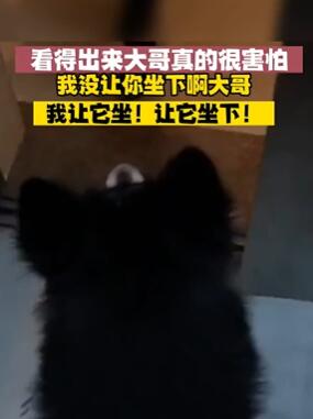 ���ӵ������������� �����ˣ�û������