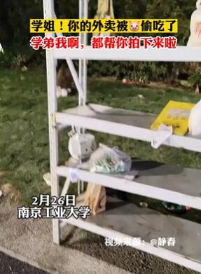 南京工业大学校门口半夜现野猪偷吃外卖