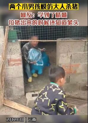 2小男孩模仿大人杀猪走红网络