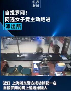 自投罗网!网逃女子竟主动跑进派出所