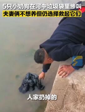 �����ֵ�ʱ���±�������5ֻС�� ��̫Сֻ�Ȼ�һֻ