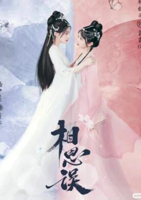 相思误电视剧在线观看免费版