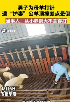 ����Ϊĸ������⹫��ײ