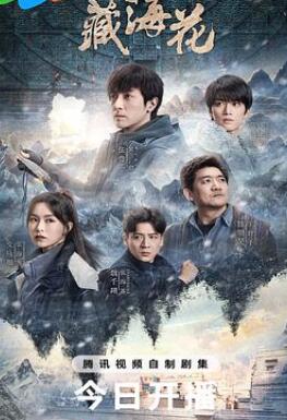 藏海花电视剧免费观看完整版