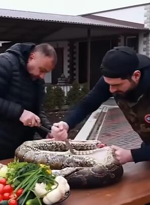 看俄罗斯战斗名族如何吃巨型蟒蛇