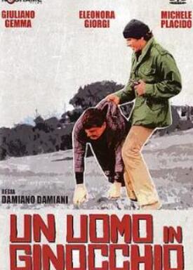 ���ŵ�����