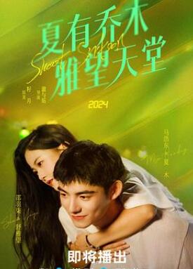 ������ľ��������