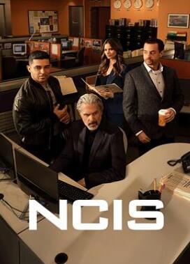 海军罪案调查处第二十二季