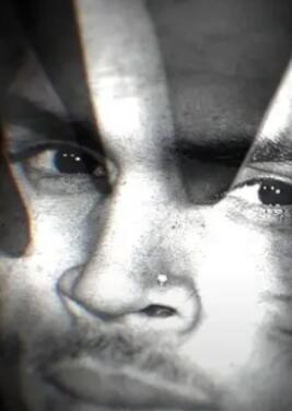 克里斯·布朗:暴力史