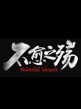 中东大宝荐2:不愈之殇