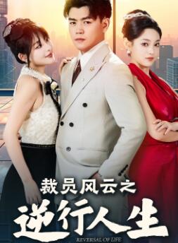 ��Ա����֮��������