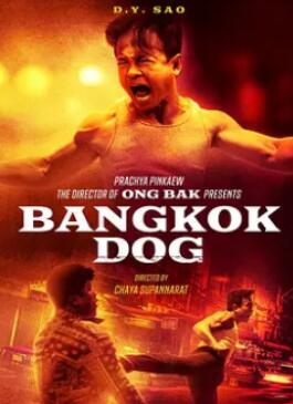 ����ս��/��Ȯ