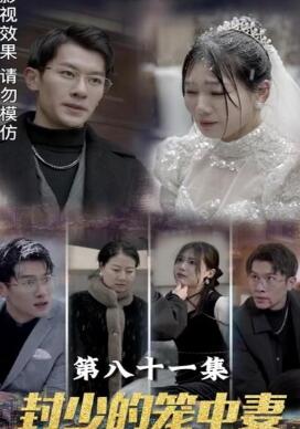 ���ٵ�������