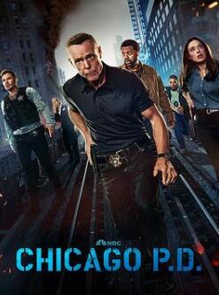 芝加哥警署第十二季