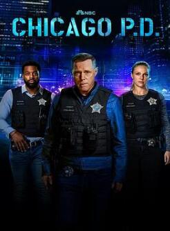 芝加哥警署第十一季