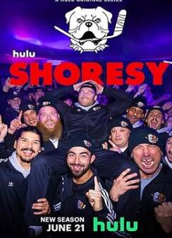 冰球小子第三季