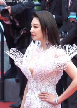 张雨绮在戛纳红毯,再次被驱赶