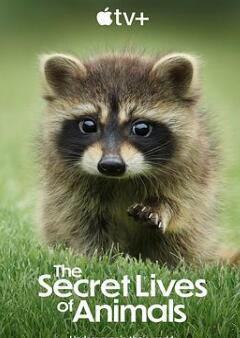 动物的秘密生活