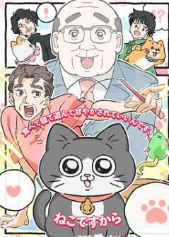 发现自己转生成猫的大叔