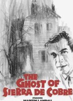 �������ǵ�����