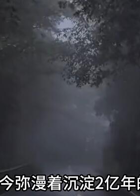 云南哀牢山一夜爆火 热门的5A级景区