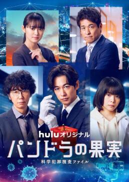 �����Ѳ��鱨������