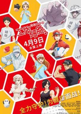 工作细胞:细胞大作战