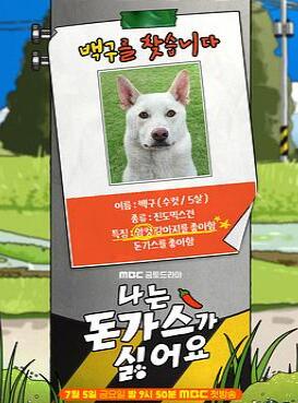 ������ը����