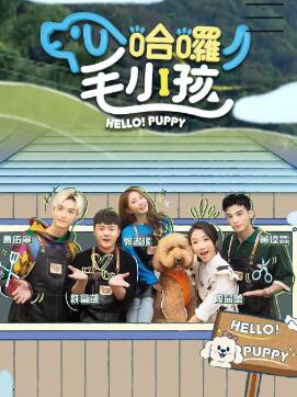 哈啰!毛小孩