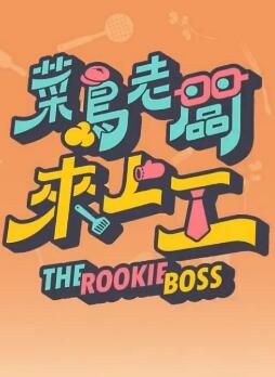 菜鸟老板来上工