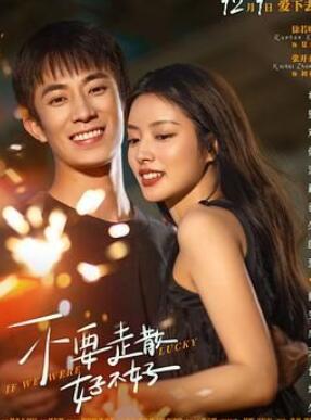 ��Ҫ��ɢ�ò���