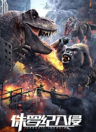 ٪�޼�����